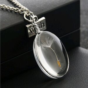 Transparent Oval Dandelion Pendant Necklace